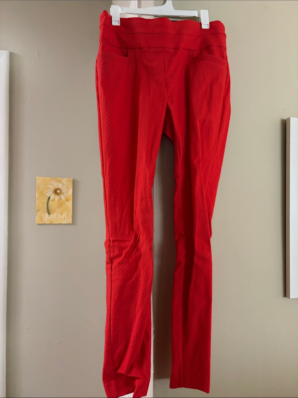 Coral Red Women's Ponte Skinny Pants maurices